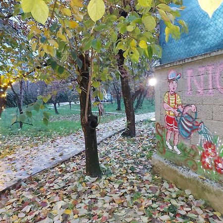 Nicolaus Hidden Gem Villa Shkodër 外观 照片