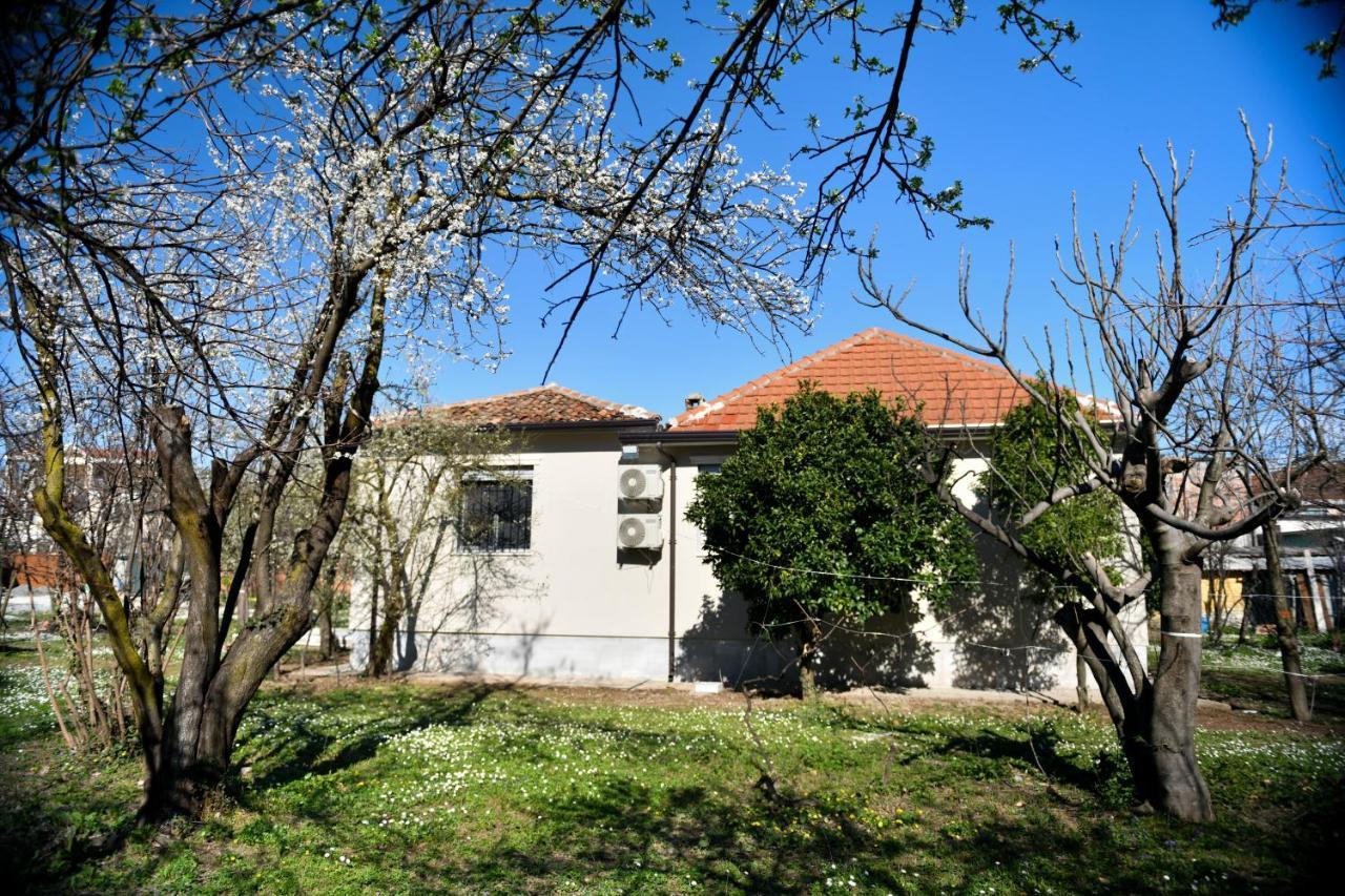 Nicolaus Hidden Gem Villa Shkodër 外观 照片