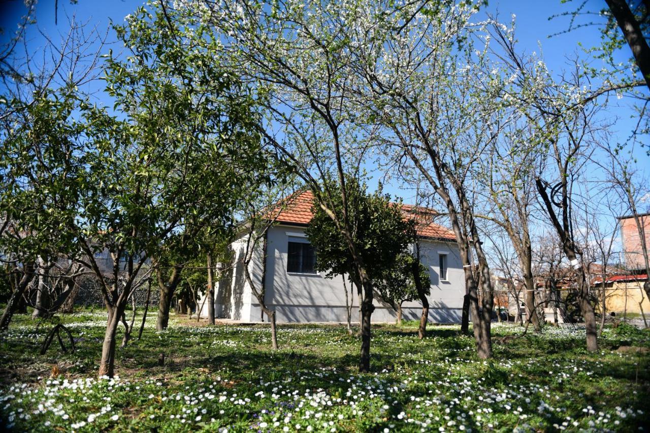 Nicolaus Hidden Gem Villa Shkodër 外观 照片