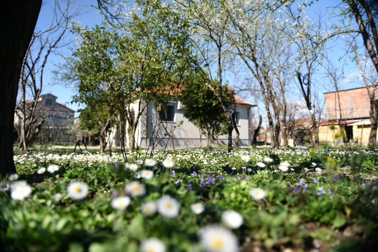 Nicolaus Hidden Gem Villa Shkodër 外观 照片