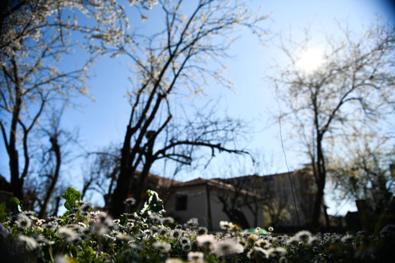 Nicolaus Hidden Gem Villa Shkodër 外观 照片