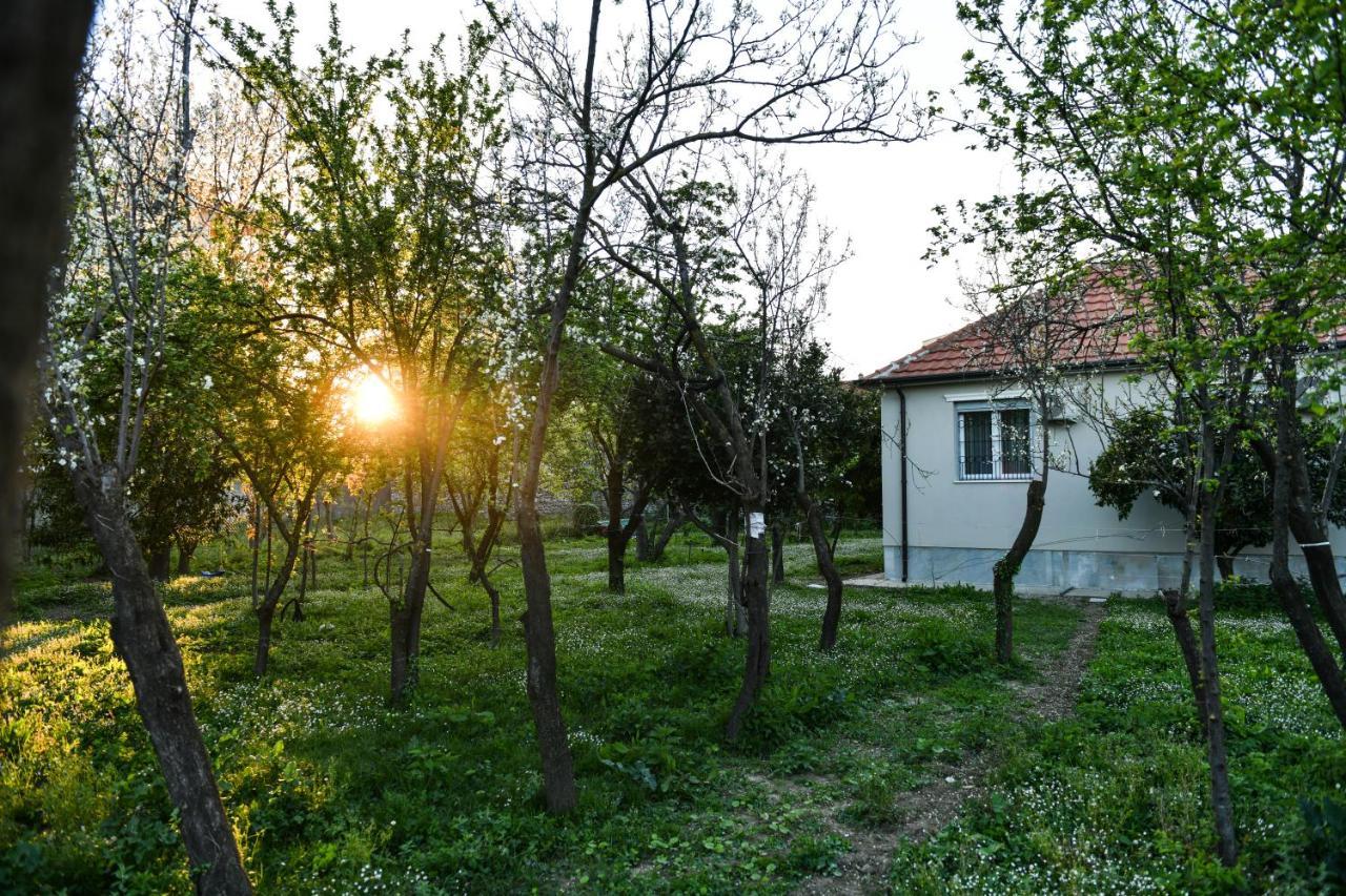 Nicolaus Hidden Gem Villa Shkodër 外观 照片