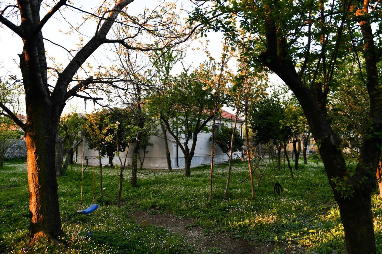 Nicolaus Hidden Gem Villa Shkodër 外观 照片