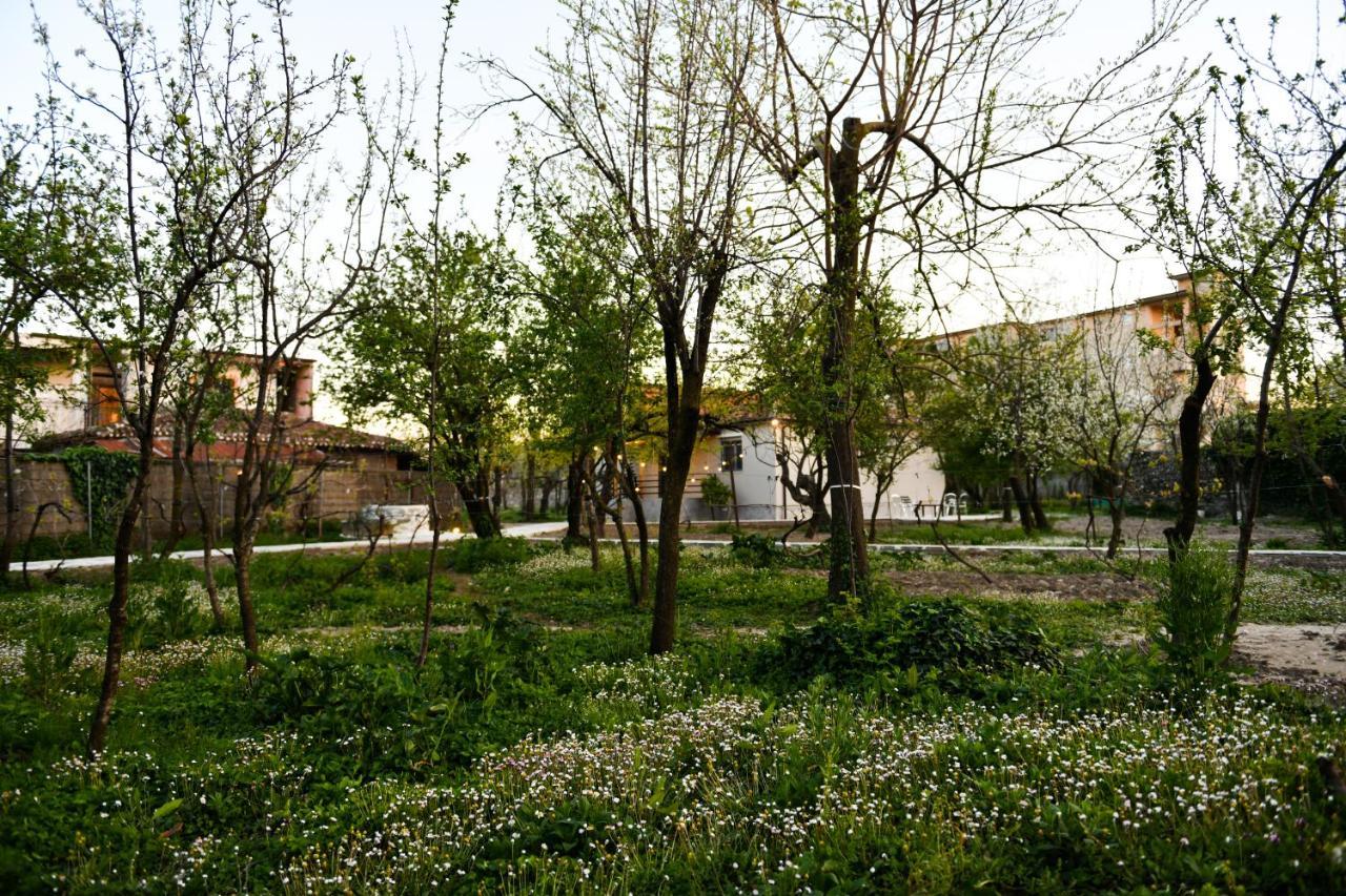 Nicolaus Hidden Gem Villa Shkodër 外观 照片