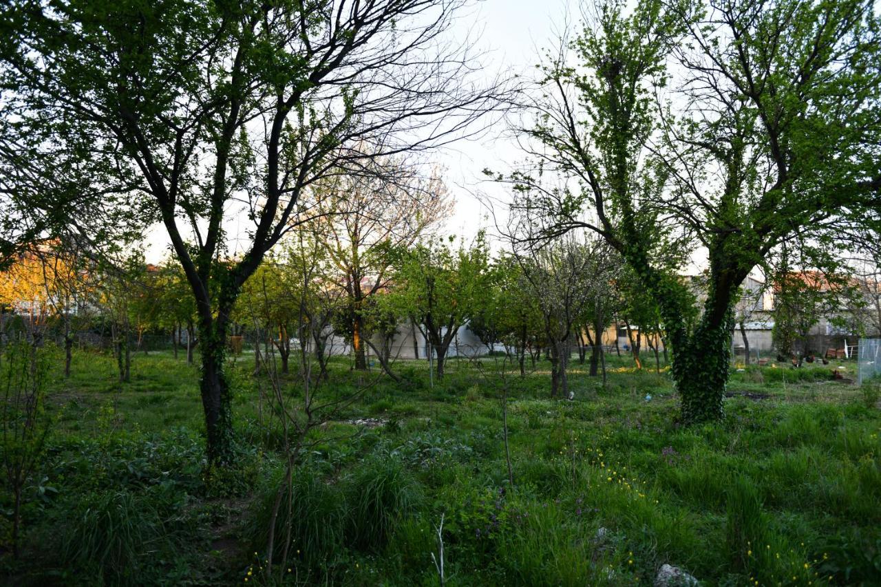 Nicolaus Hidden Gem Villa Shkodër 外观 照片