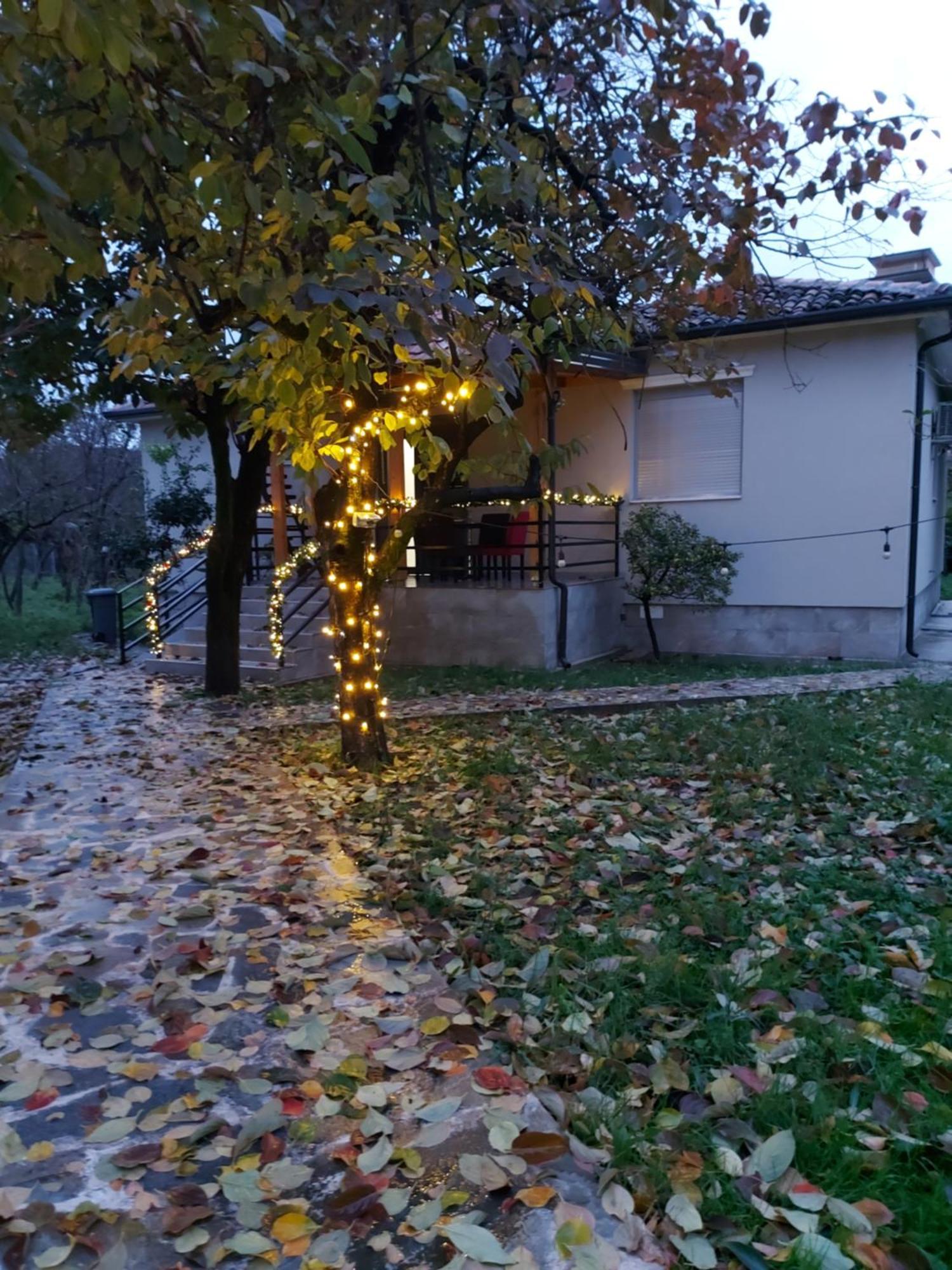 Nicolaus Hidden Gem Villa Shkodër 外观 照片