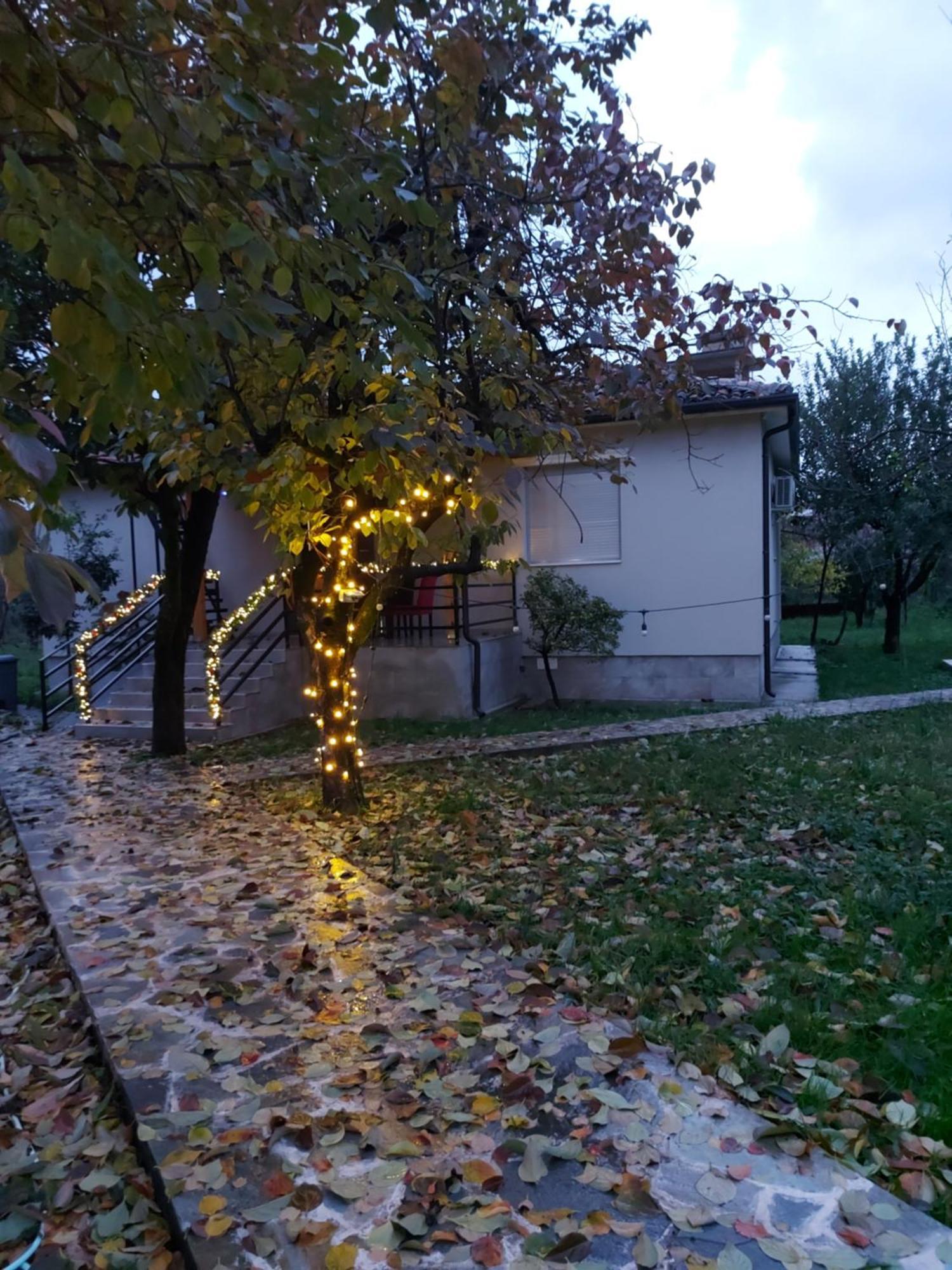 Nicolaus Hidden Gem Villa Shkodër 外观 照片