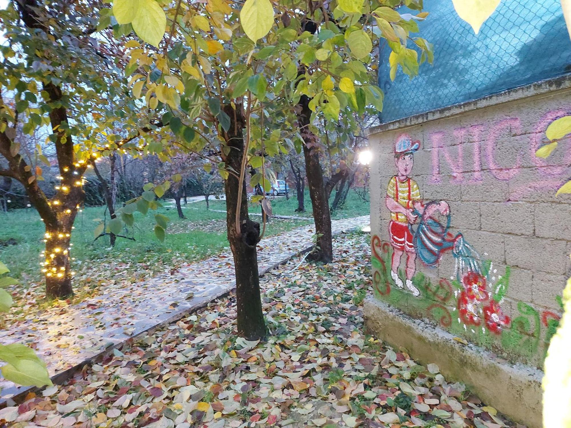 Nicolaus Hidden Gem Villa Shkodër 外观 照片