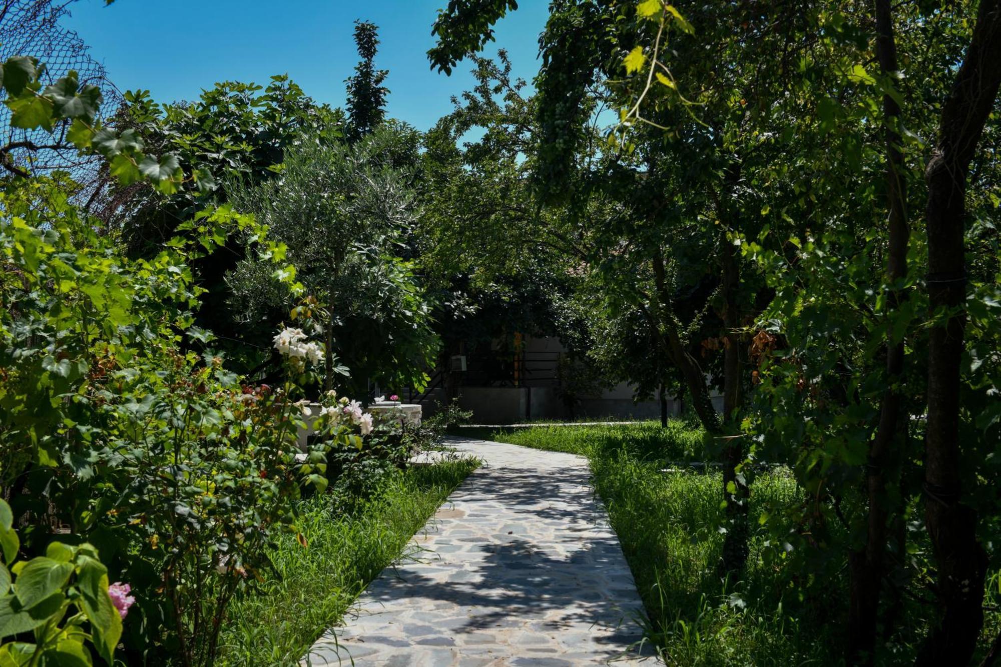 Nicolaus Hidden Gem Villa Shkodër 外观 照片