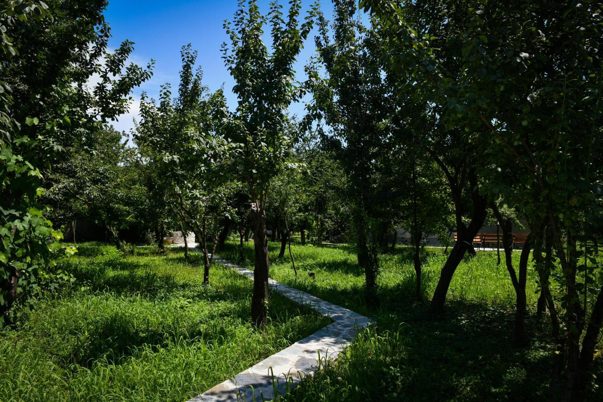 Nicolaus Hidden Gem Villa Shkodër 外观 照片