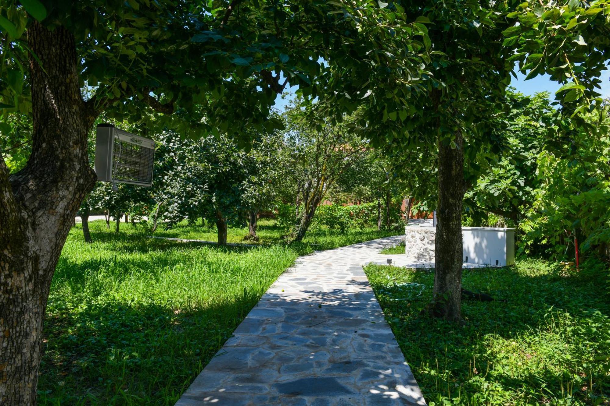 Nicolaus Hidden Gem Villa Shkodër 外观 照片