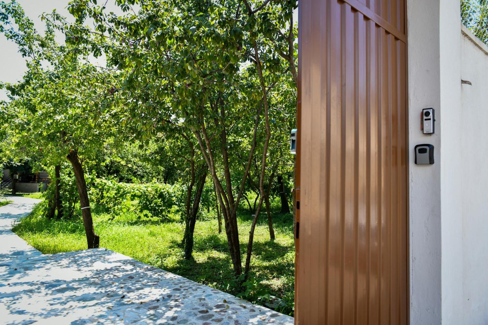 Nicolaus Hidden Gem Villa Shkodër 外观 照片